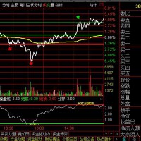 南川分时及时买卖点提示金钻指标公式！