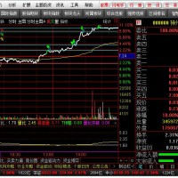 他是夜龙-做T分时主图最牛气自用高抛低吸做T+0分时买卖利器