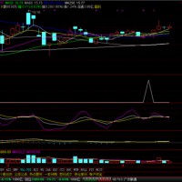 理想芝麻开花金钻指标公式